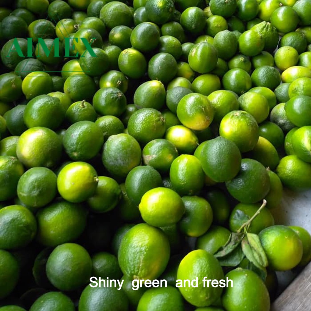 seedless-lime