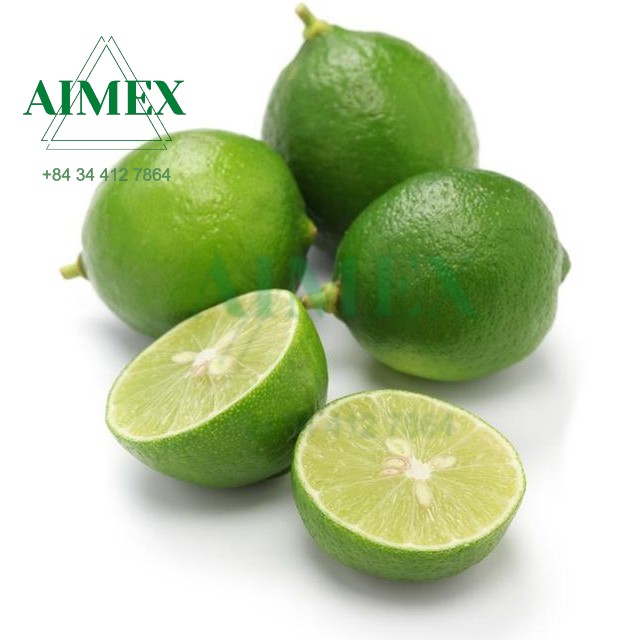 seedless-lime-for-export-from-vietnam