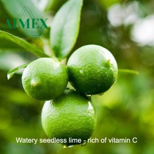 seedless-lime-for-loading