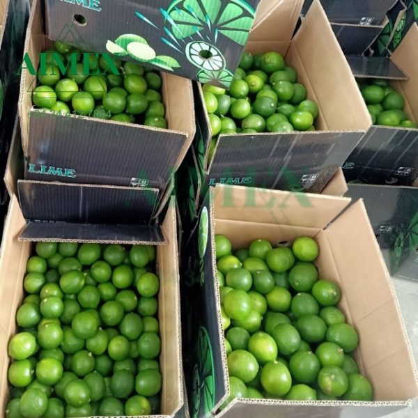packed-seedless-lime